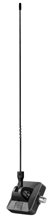 ASPB574
